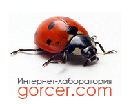 Заголовок